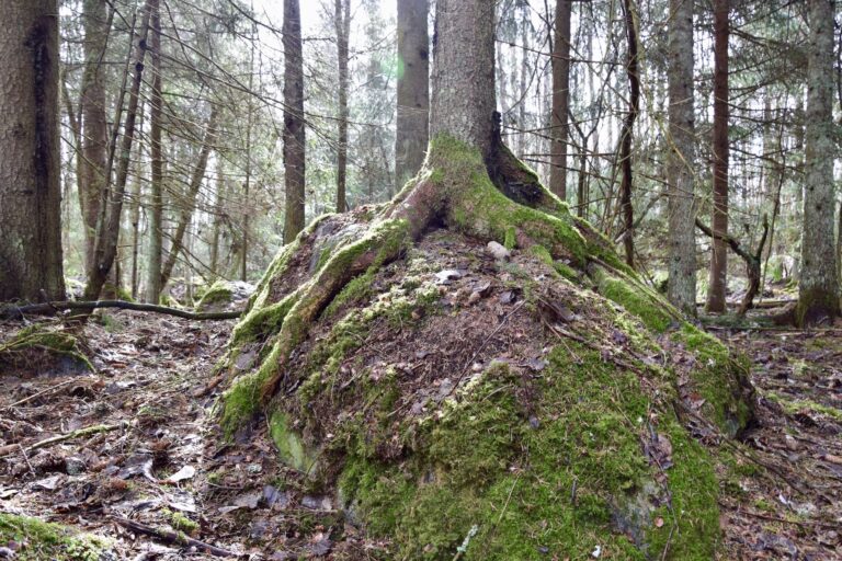 Ihminen ei kasva tyhjiössä – hän kasvaa suhteissa